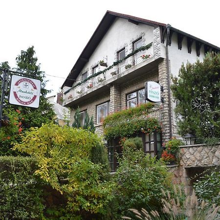 Muskátli Panzió Győr Exterior foto