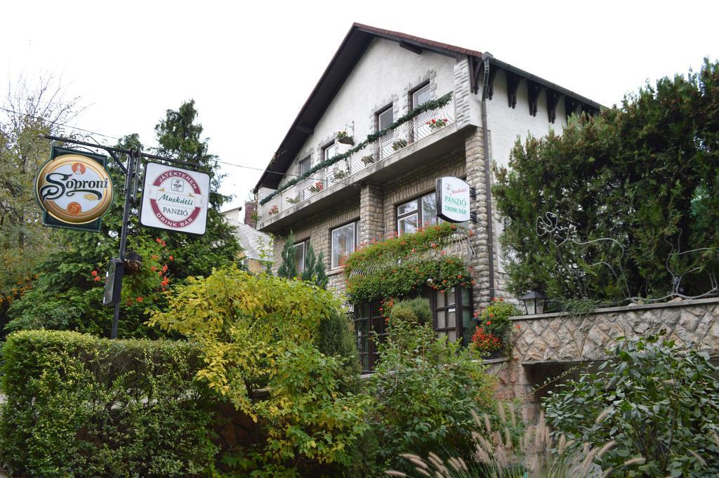 Muskátli Panzió Győr Exterior foto