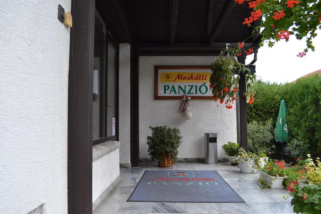 Muskátli Panzió Győr Exterior foto