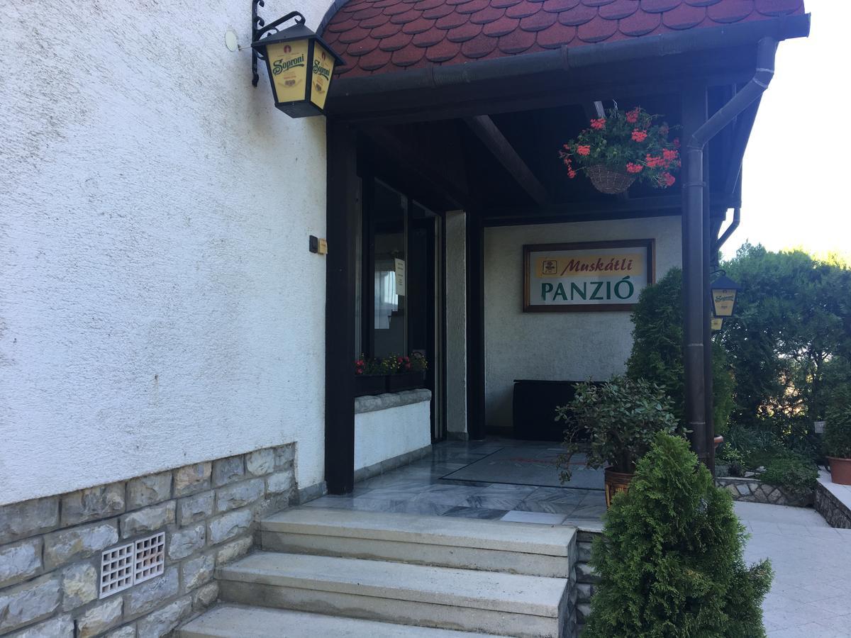 Muskátli Panzió Győr Exterior foto